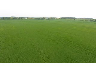 Property photo 10 - IMPORTANT OHIO LAND AUCTION - 325.5+/- ACRES OFFERED IN 8 TRACTS IN PICKAWAY COUNTY, OHIO